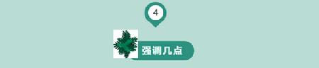 ͼƬ12